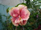 P1150100