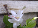Fotografie0163