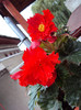 DSC06959