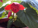DSC06980