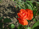 P1000864