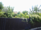 2012-06-26 12.31.54