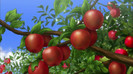 969-161-optimize_d