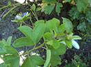 DSC07068