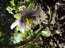 DSC07069