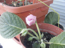 DSCF4760