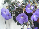 DSCF4777