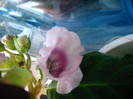 IMAG0008