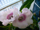 IMAG0009