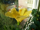 P1400181