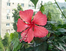 27 iunie