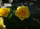 DSC05132