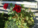 DSC05640