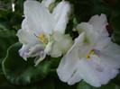 DSC05090