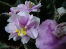 DSC05093