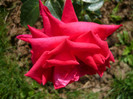 charles imperial