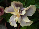 P1150126