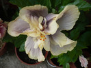 P1150129