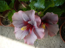 P1150131