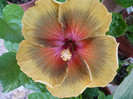 P1150139