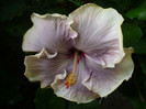 P1150144