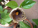 P1150152