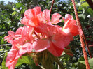 Picture 038