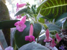 P1150171