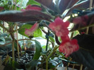 P1150177