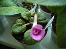 P1150195