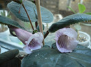 P1150170