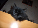 SAM_0940