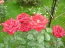 DSC02830