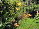DSC02853