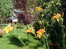 DSC02855