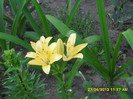 SDC12180