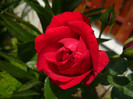 034