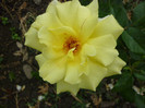 P1000915