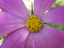 P7240051