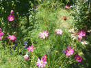 P7240053