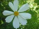 P7240054