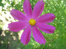P7240055