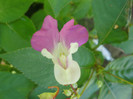 P7240057