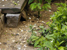 PIC04854