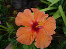 P1150226
