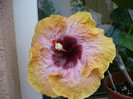 P1150233