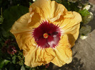 P1150251