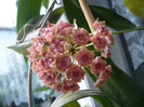 P1150262