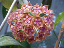 P1150265