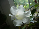 P1150270